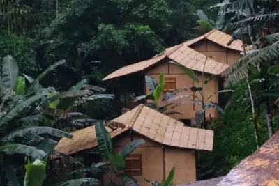 Image de Chalets in Paraty with private waterfall