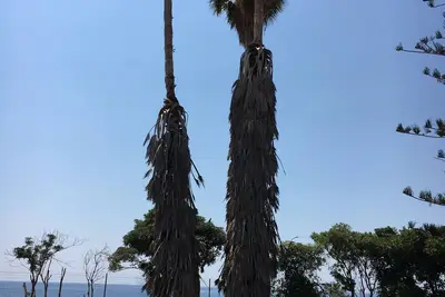 Image de Casa D'aria Beach House