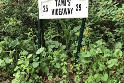 Image de Tami's Hideaway - Nature and Comfort at this Private Asheville Getaway