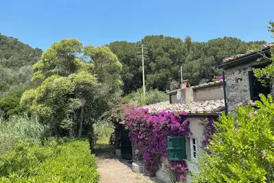 Image de Il Molino – A Historic Watermill Retreat on Elba Island
