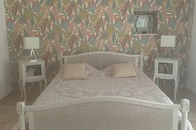 Image de La chambre aux plumes