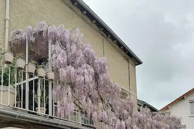 Image de Bel appartement dans petite copropriété