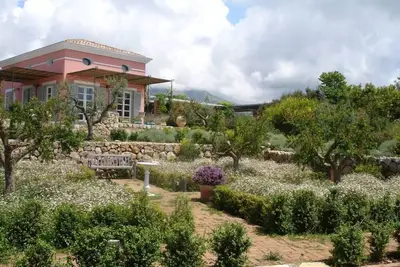 Image de Villa sur les collines d'oliviers prés de la cote de Sperlonga, Gaeta