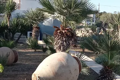 Image de Tramontana 26