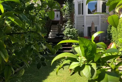 Image de Best Location Garden Condo in North Beach