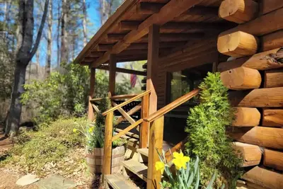 Image de River Moss Cottage - On the Toccoa River