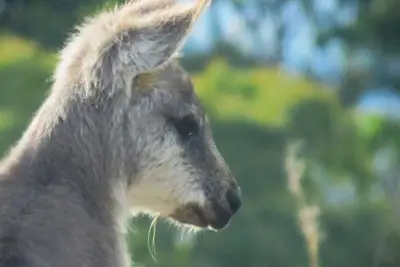 Image de Retraite rurale - le plaisir des amoureux de la nature