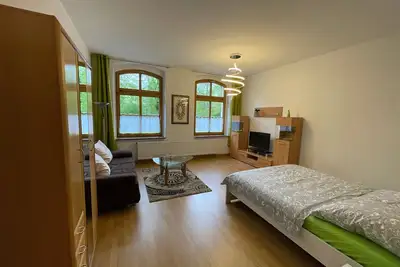 Image de Vacation apartment\/apartment for 4 guests with 46m² in Zwickau (153923)