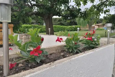 Image de Aux portes de la Camargue