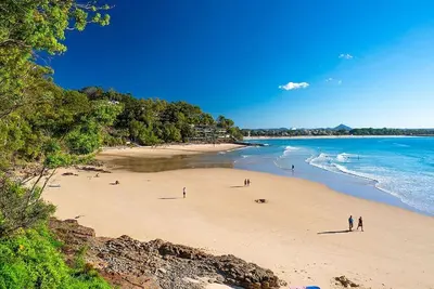 Image de Little Cove Gem - Tristania1