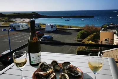 Image de Les Terrasses de Kerfissien de 2 à 6 Personnes vue mer