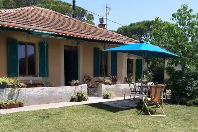 Image de Belle maison provençale - la campagne à la mer