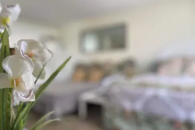 Image de ❤️Location❤️ 5min to 🏄‍♀️🏊‍♀️🐠🦈🌸 free parking 🚙🅿️, fast Wifi💻 🌺F08a09🌺