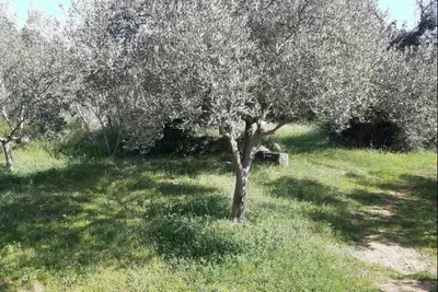 Image de House for vacation in nature
