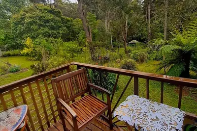 Image de Blue Mountains studio, wild native garden full of birds, week-long stay 30% off