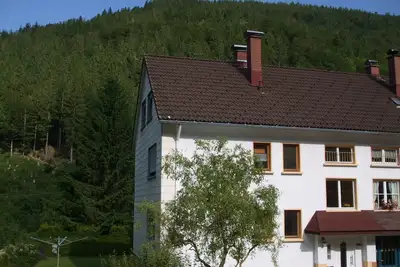 Image de Ferienwohnung/app. für 5 Gäste mit 50m² in Todtnau