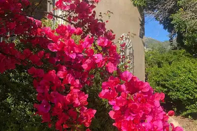 Image de villa sur terrain de 3000 m2 a 5mn a pieds des plages. chambres climatisées