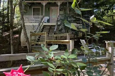 Image de Escape to Pet-Friendly Studio Cabin near Helen, Blue Ridge & Appalachian Trail