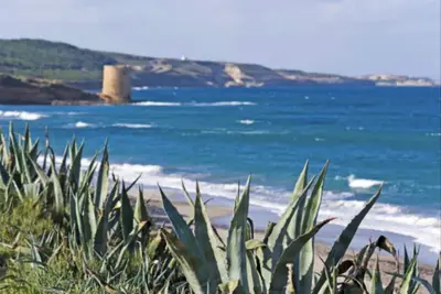 Image de ClickSardinia Villa with sea view for 11 people with garden near the beach