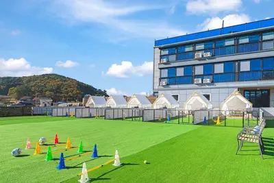 Image de Namhae Dangdangi Dog Pension Blue