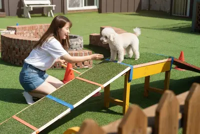 Image de Gapyeong Two Dog Place Pension