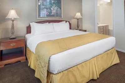 Image de Near Mickey Gilley Theatre! Kitchen, Kayaking, Pool, Water Skiing