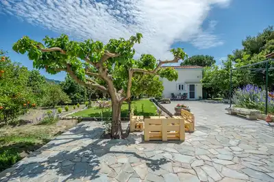 Image de Kipi Village Zakynthos
