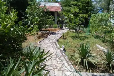 Image de Appartement Studio dans Jadranovo avec Balcon, Climatisation, Wifi (3856-3)