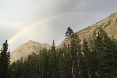 Image de Twisted Twig Loft: Family trips to Yellowstone are great!