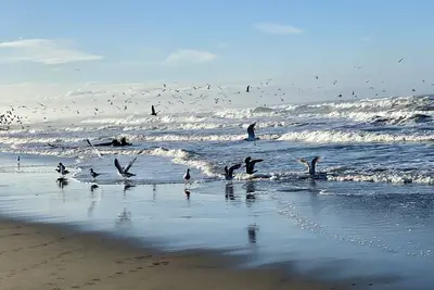 Image de Remote- Ocean Front, steps to ocean, Pajaro Dunes Between Santa Cruz - Monterey