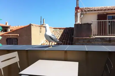 Image de Appartement Terrasse Plein ciel