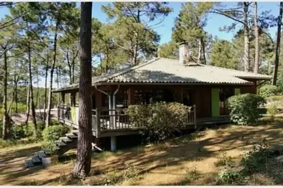 Image de Maison typique au calme dans les pins.
