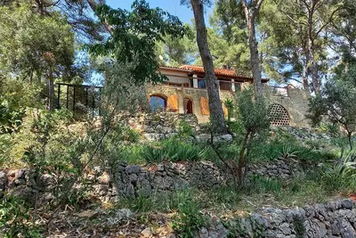 Image de La Maison Dans Les Pins