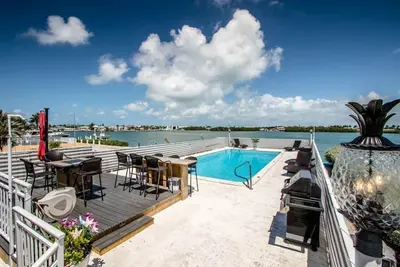Image de Watch dolphins play in Shelter Cove while swimming in our oversized pool