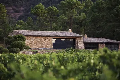 Image de Shepherd House in the Vines