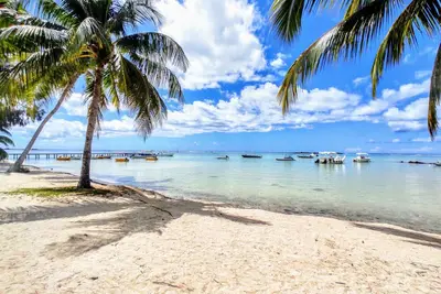 Image de Moorea - Tropical Soul