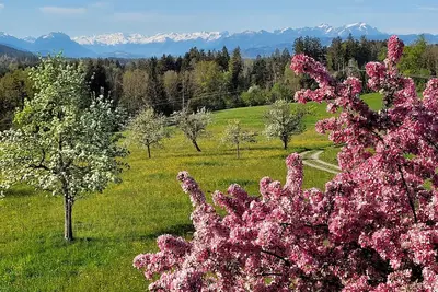 Image de Appartement \"Säntisblick\" avec vue sur les montagnes, Wi-Fi, 15m² Balcon sur le toit