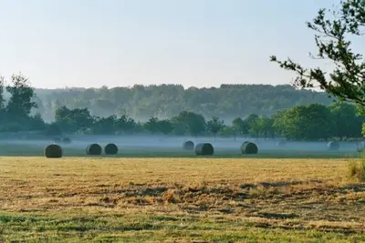 Image de Charmante fermette Périgourdine calme et nature