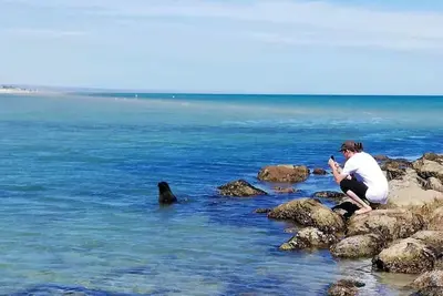 Image de Kangaroo Island in Style: Free WiFi, Beach Access, Wildlife, and Fishing!