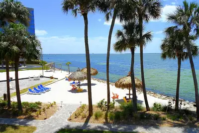 Image de Experience All Of What Tampa Has To Offer! Full Kitchen, Free Parking, Pool