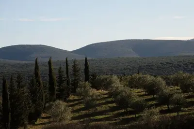 Image de eco domaine pontet-fronzele, gîte \"le Murier\"