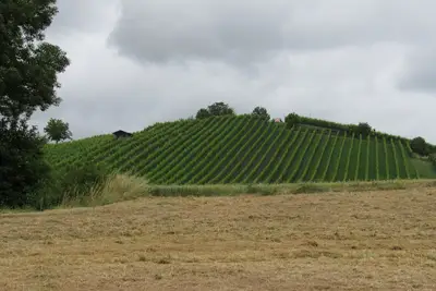 Image de Freistehendes Haus am FuĂźe des Weinbergs