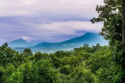 Image de Log Cabin with Mountain & Forest Views! 5 min to Gatlinburg! Hot Tub|Game Room