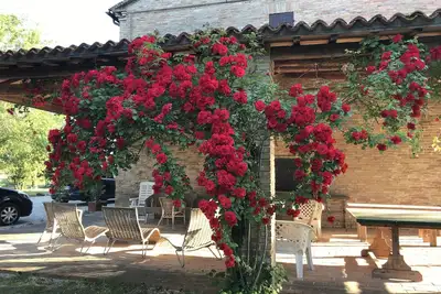 Image de Appartamento \"limoni\" Immerso nel Verde Delle Colline Marchigiane