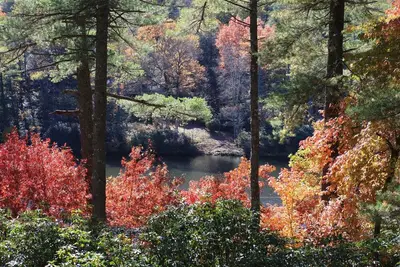 Image de Acorn Cabin - Close to Town