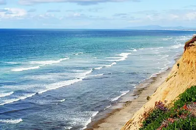 Image de Oceanfront Dolphin Views at the Edge of the Usa. 2-Bed 1-Bath Pet-Friendly.