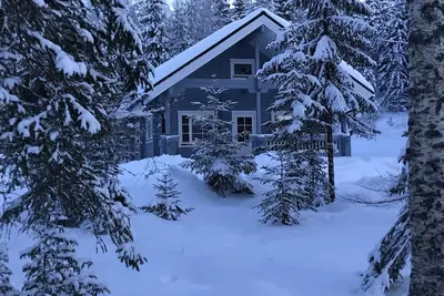 Image de ILMAJÄRVI Forest Dream