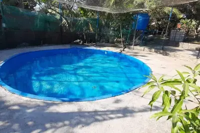 Image de Exotic destination on the outskirts of Cartagena. Total relax