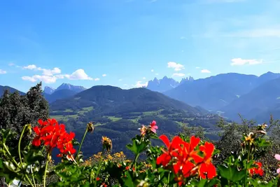 Image de Stieberhof Feldthurns - Holiday apartment with mountain view - Alpaca hike