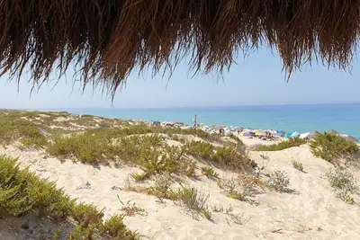 Image de Comporta House | A Peaceful Retreat Near Comporta Beach